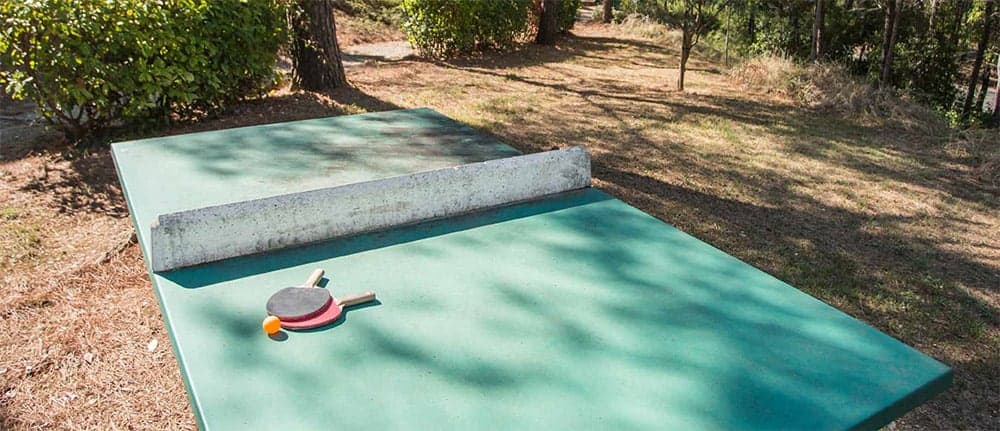 Une table de ping pong et d'autres espaces sont à votre disposition pour vous divertir avec vos amis et vos voisins.